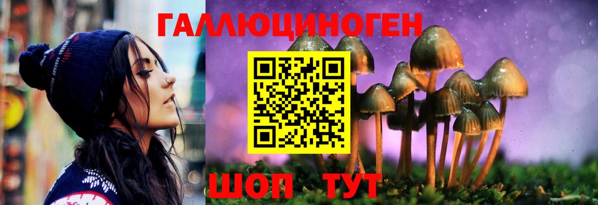 Псилоцибиновые грибы Cubensis  купить наркотик  Шахты  Галлюциногенные грибы Cubensis  Вход с VPN 